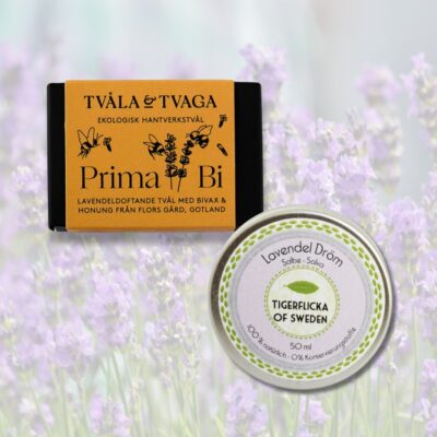 Lavendelkärlek – Prima Bi + Lavendel Dröm